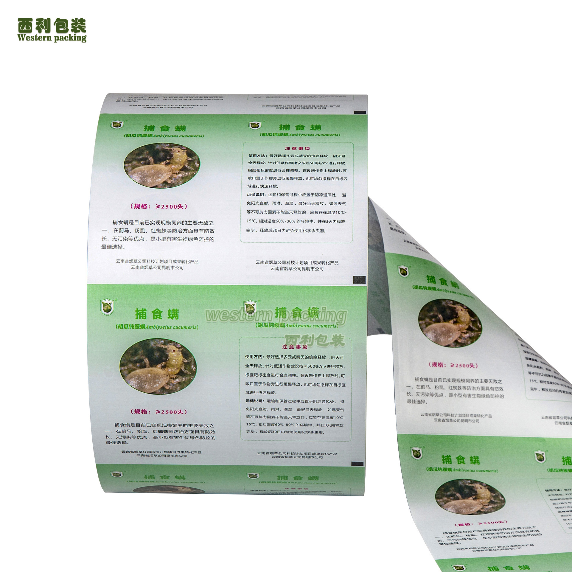 pla可降解卷膜食品复合淋膜纸卷材可分解包装袋自动包装卷膜厂家