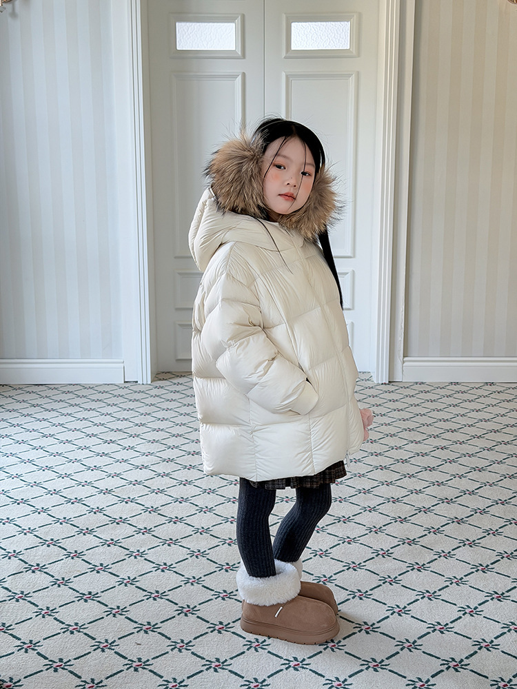 2025-11-23 095119.jpg