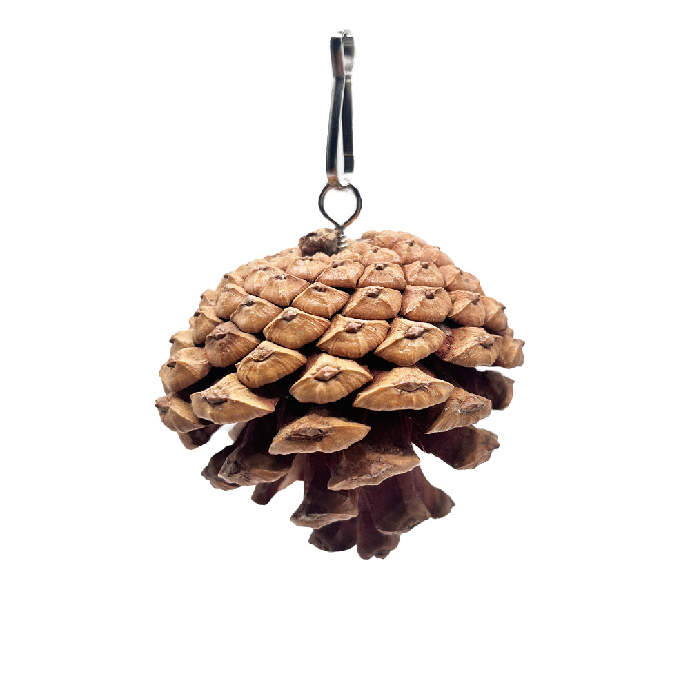 El juguete para morder de loro se puede colgar con piñas, mascota de pájaro, juguete de piñas navideñas, accesorios de decoración de jaulas para pájaros