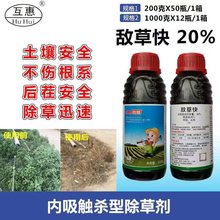 ���ݿ�  Ҋ�G��  ���@�ֵ������s�ݳ���  �������� ���݄���Ч