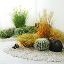 ������b��Ѳ݈F�[���JȔ��̦�ݼٲ݅����~��ľ�ݔ[�Ż�ˇ������