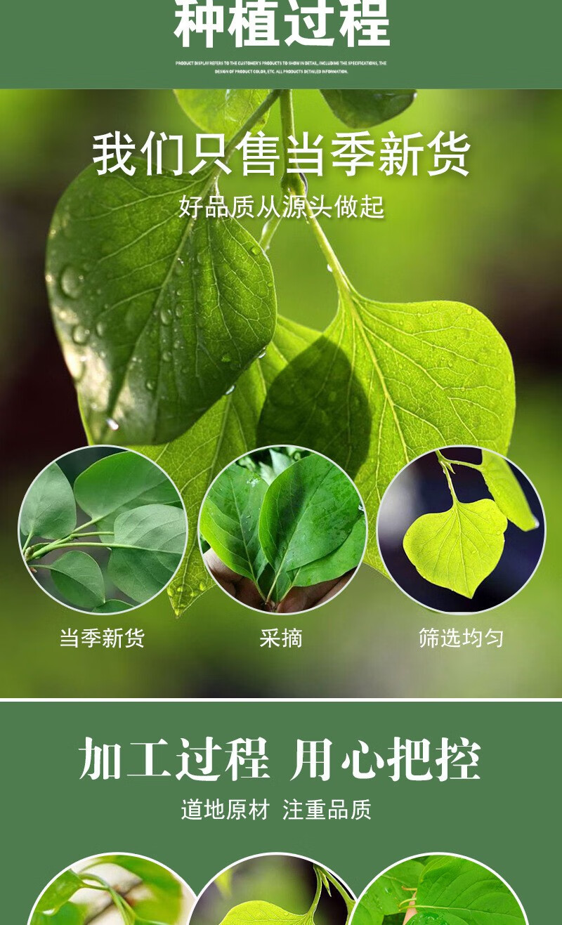 Clove Leaf Tea Ding Xiang Tea 500g Dried Syzygium Aromaticum Leaves from Changbai Mountain for Daily Herbal Infusion key features