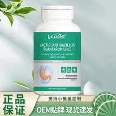 LACTIPLANTIBACILLUS42克 支持一件代发 源头厂家直发