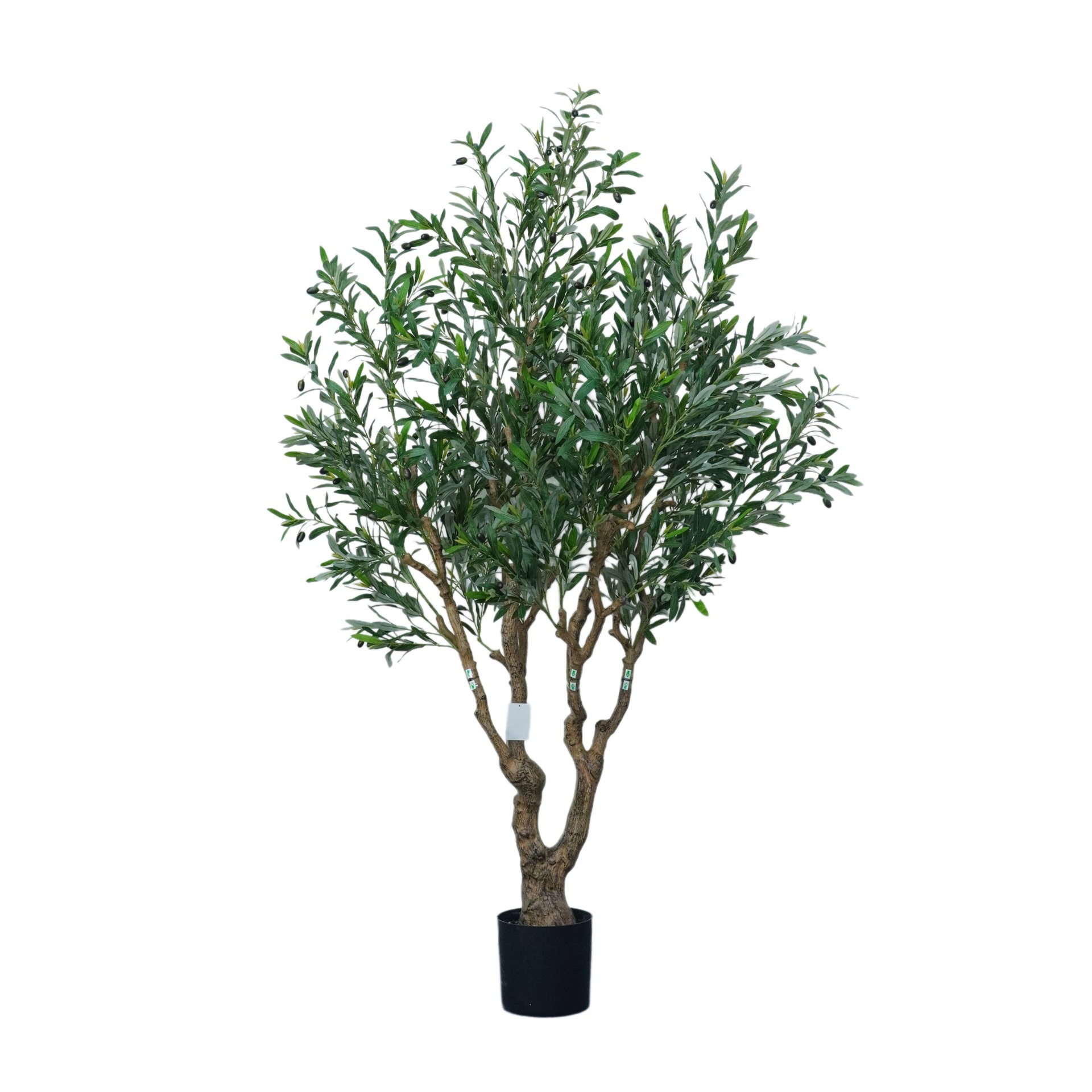 Simulación verde olivo gran maceta dragón sangre hierro transfronterizo árbol artificial nórdico decoración interior paisajismo mayorista