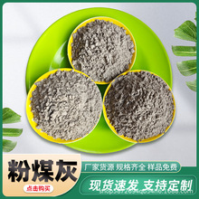 粉煤灰搅拌站混凝土建筑材料.用微硅粉学校实验电厂.煤矸石粉.