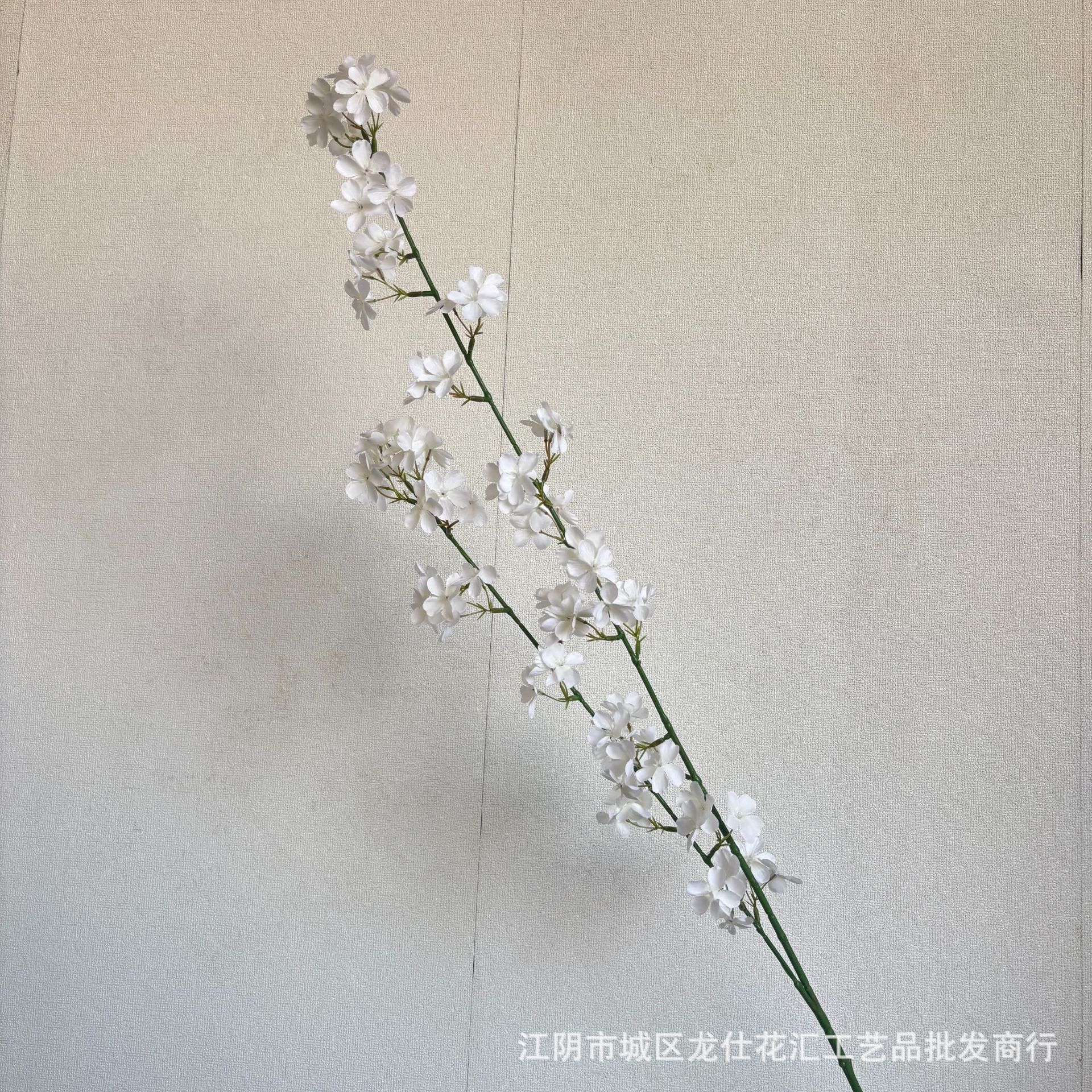 2호 배꽃 녹색 기둥