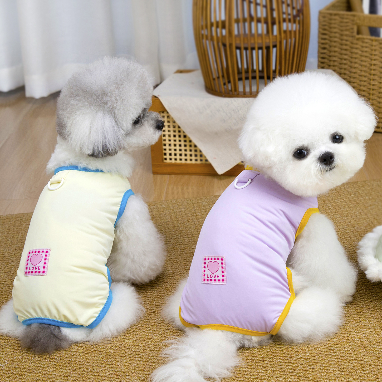 Ropa para mascotas, gatos y perros, primavera y verano, conjunto sin mangas fino para Bichón Frisé o Teddy, traje de verano transpirable y fresco para mascotas de cuatro patas._voghion.com