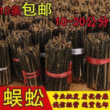 包邮材蜈蚣 蜈蚣干10-11公分红头大蜈蚣100条价包邮全整