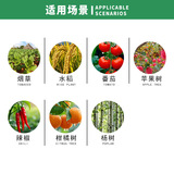 DeQiang Bio Ningnan Ningnan Nantanic Tobacco Tobacco Pepper вирус вирус вирус вирус томат трудовые пестициды Пестициды Bybachs 15 мл