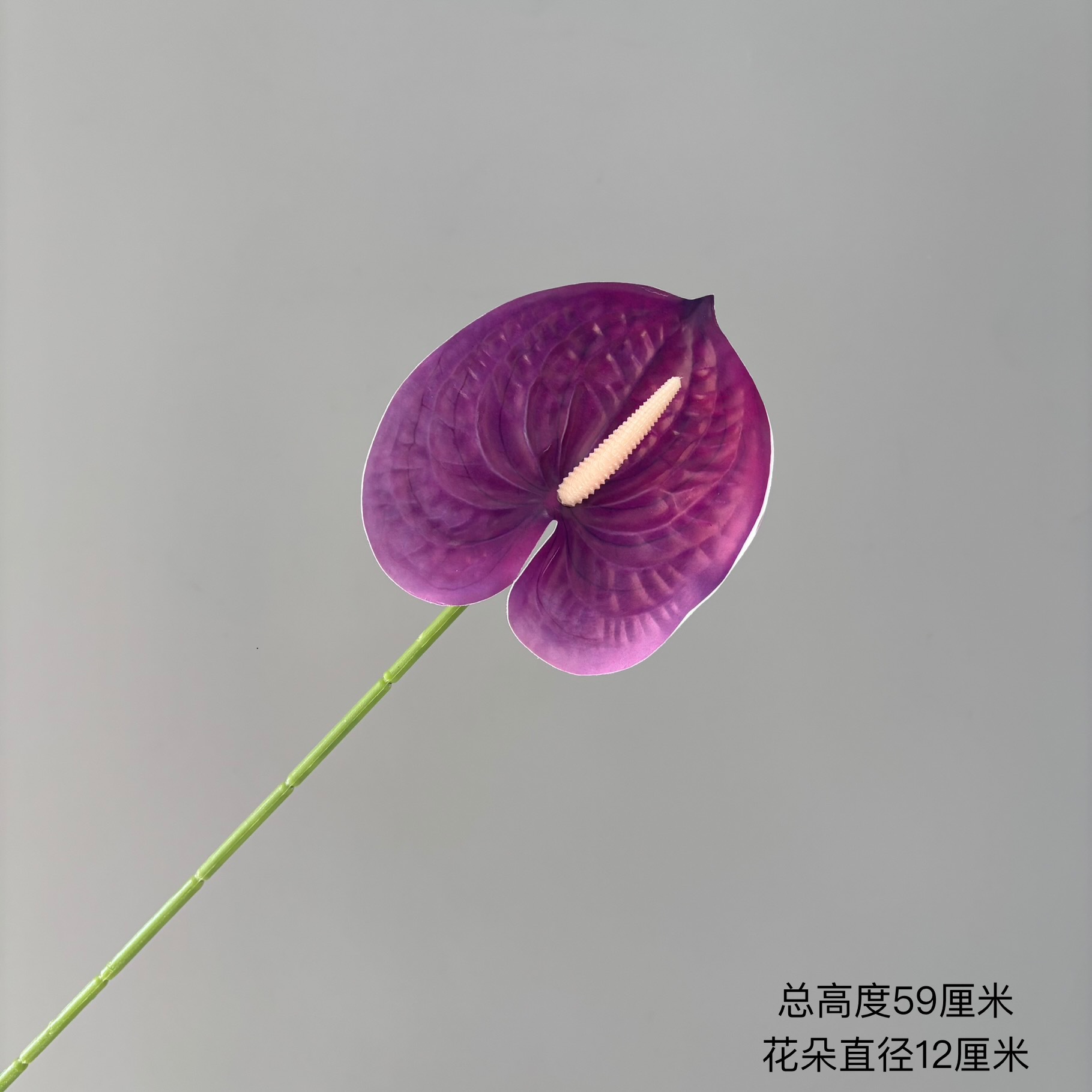 보라색