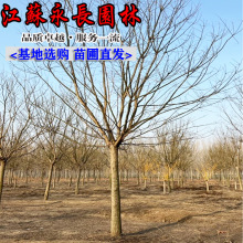 ���l�������� �G����ľ�ļ�����ͥԺ�Nֲ�^�pҎ���Rȫ�� ������