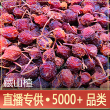 藏山楂干货足干网红批发代发西藏藏山楂500g 波密野生山楂粒消食