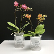 ����֧������Ʒ�����m���������B���҃Ⱥ��B�������m�ʺ����Ի���