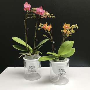 ����֧������Ʒ�����m���������B���҃Ⱥ��B�������m�ʺ����Ի���