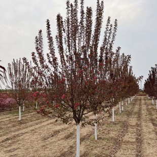 ���庣�� ���x���Ę� �|���ͺ����Ę� �G�����̾��^�� ���~�е���