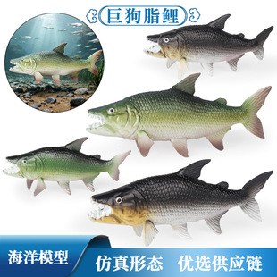 ���溣���������ģ�͌��ľ޹�֬������зС���~���~���~��ͯ���