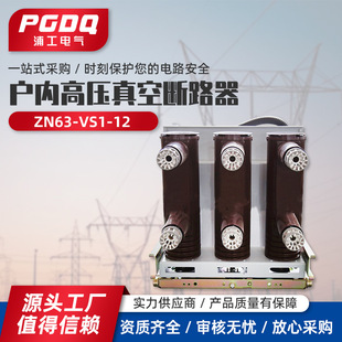Zn63-Vs1-12 Series Indoor High-Voltage Vacuum Circuit Breaker High-Voltage Vacuum Circuit Breaker Fixed Trolley
