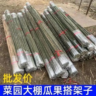 Bamboo Poles for Vegetable Garden Trellis, Bamboo Sticks for Vegetable Stands, Bamboo Cucumber and Bean Trellis, Courtyard Fence with Bamboo Poles