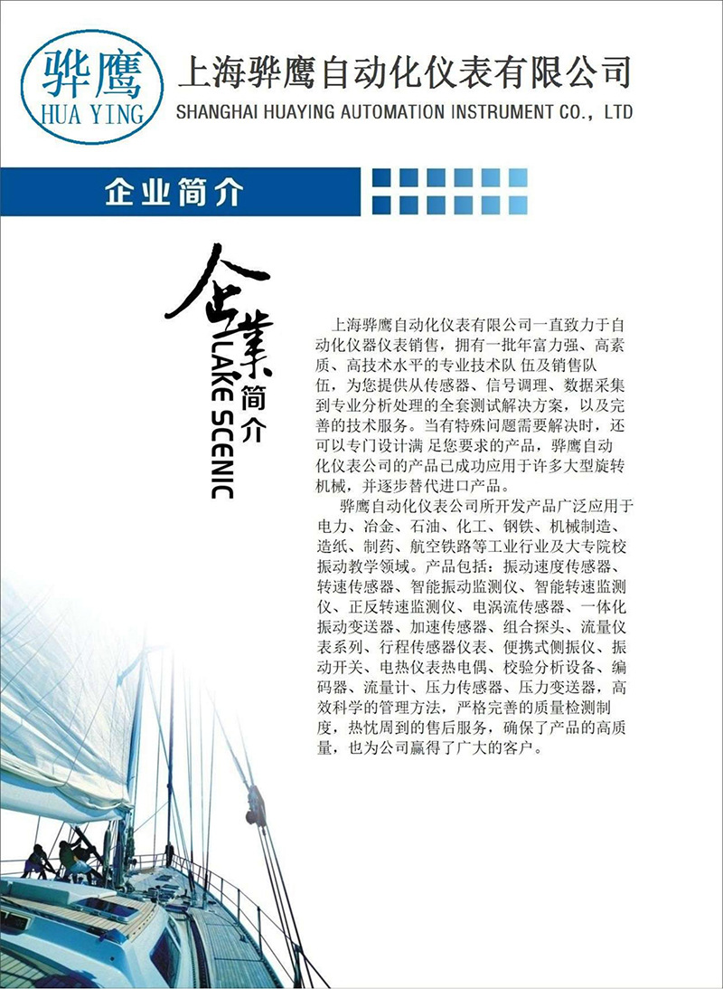 上海骅鹰简介