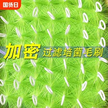 �~��ëˢ�^�V�\���صמV�V��ˮ�����^�V����304�1.6о50֧�����