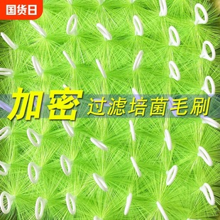 �~��ëˢ�^�V�\���صמV�V��ˮ�����^�V����304�1.6о50֧�����