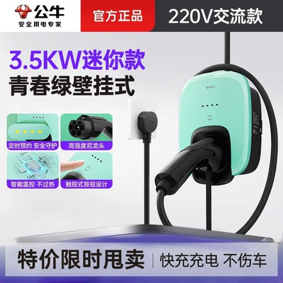 Elektrikli avtomobil şarj stansiyaları, offer】Bull official genuine 7kw - 35kw-ac-charging-stationmini-plug-model-avocado-green-220v-single-phase-meter-32a-6minstallation-not-included