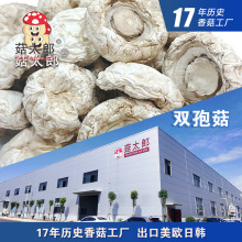 厂家批发双孢菇整菇口蘑菇食用菌菇新货白蘑菇基地备案可出口商检