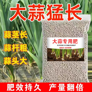 [1637 People Praised] Garlic Grows Fast, Special Fertilizer for Garlic, Expansion Factor, Prevents Dry Tips, Prevents Diseases, Increases Production and Makes Xm Strong