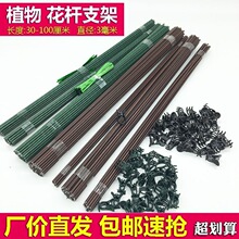 蝴蝶兰2.5mm支撑花枝条卡秋海棠兰花夹植物盆栽西红柿防倒支架杆