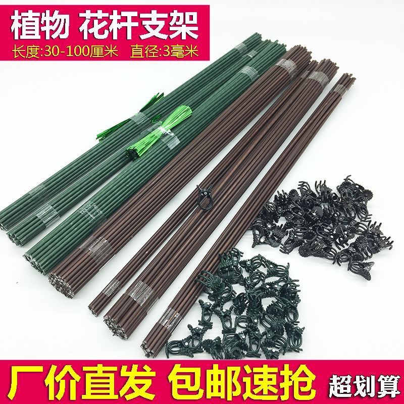 蝴蝶兰2.5mm支撑花枝条卡秋海棠兰花夹植物盆栽西红柿防倒支架杆