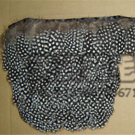 羽毛、羽绒;皮毛工艺品;耳环