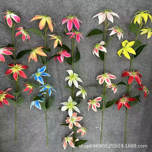 ����3D����ٺϻ����滨��Y�û��ٻ�����[���羳�������컨