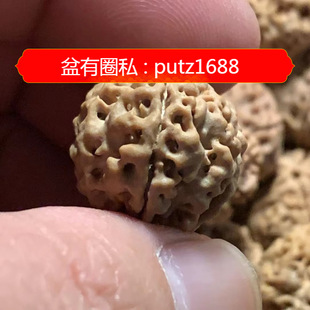 �����Ͽ�M����������ԭɫ��ԭƤ�������l���������p��