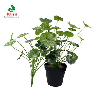 С~ ~X СԽMزˮݾGֲֲb