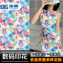 ���aѩ��ӡ����ˮī�L���b�h��ȹ�Ӱl��L΢͸����ѩ�����b����