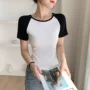 修身圆领夏季插肩t恤