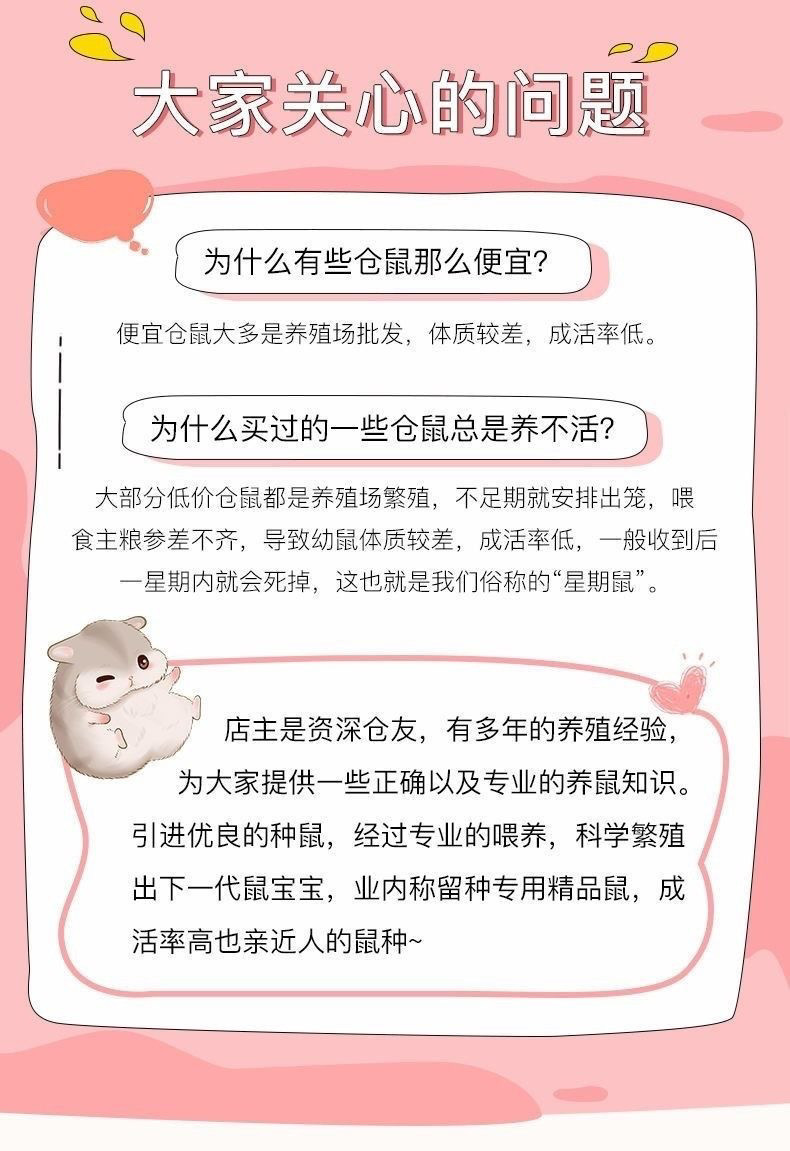 f0a9b7d9-f612-4892-8688-48b6e753cbe5.jpe