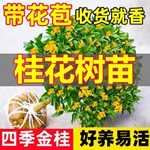 �𻨘����ļ������Դ�䵤����ͥԺ�����ͻ���ֲ���҃ȾGֲ�_��