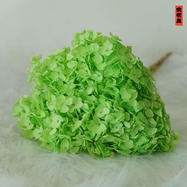 Fruit green/support