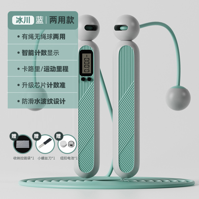 [전자 계산 이중 사용]-파란색