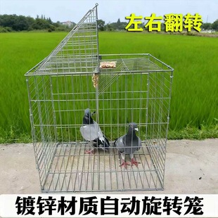 �\�Bֳ�����������ӼӴ������¿�\���D�����B�\�ԄӼ���