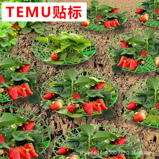 Green strawberry planting rack with 3 sturdy legs-PVC plant support cage, resistant to mildew and rot