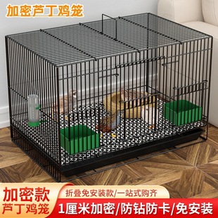 �J���u���û\�����r�u�\�҃ȼ��ô�̖�g���\� ����\С�S���\���]