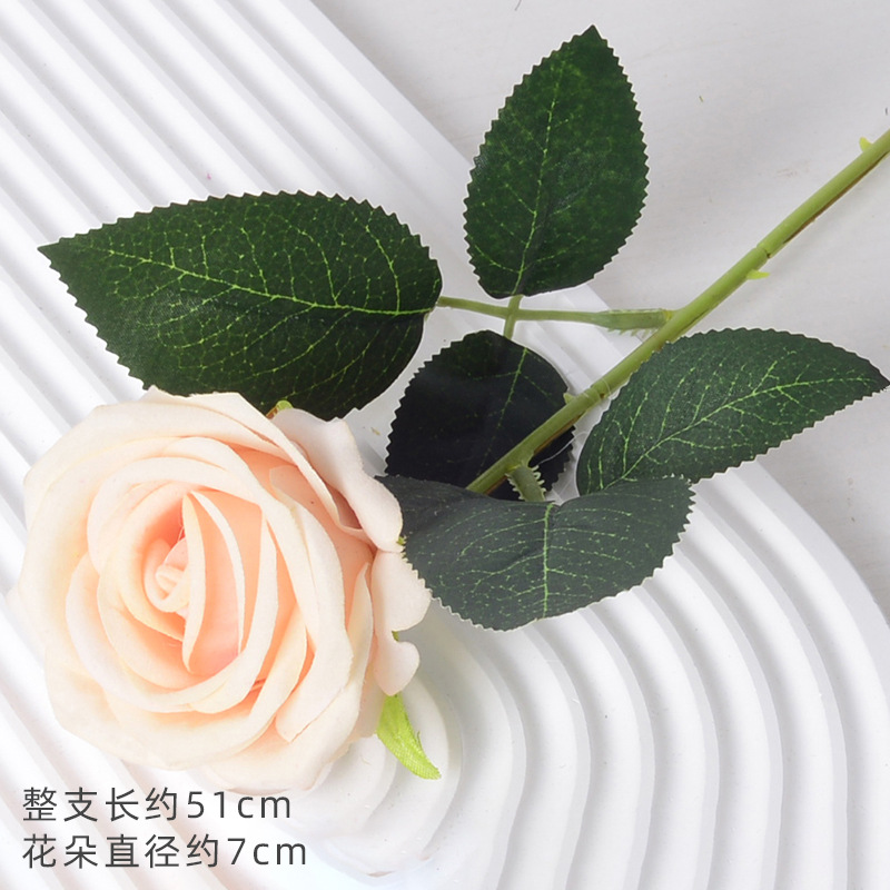 珍珠玫香槟（绒布版）