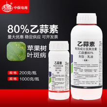 ������80% �������������O���~�߲����������������rș�r�Ú�����