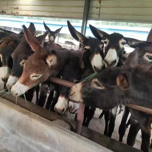 ���N�����H�x�̻��w�F؛�����H���l�r��������Hһ�^С�H����]