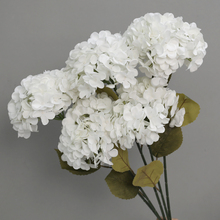 ?��ɫ���[�O��Y�ٻ������M�����b��������廨��ˇ�[