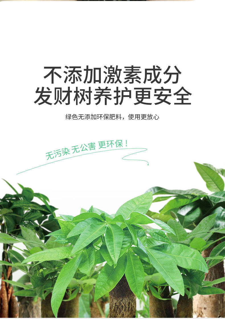 详情图