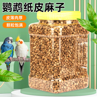 �W�^�����B�Z��Ƥ�W�^�Zʳ�����W�^ĵ�����w����Ƥ�������P�Bʳ