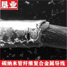 [̼{׹ܑîaƷ]̼{׹wSͺϽٌKYCNTS-X